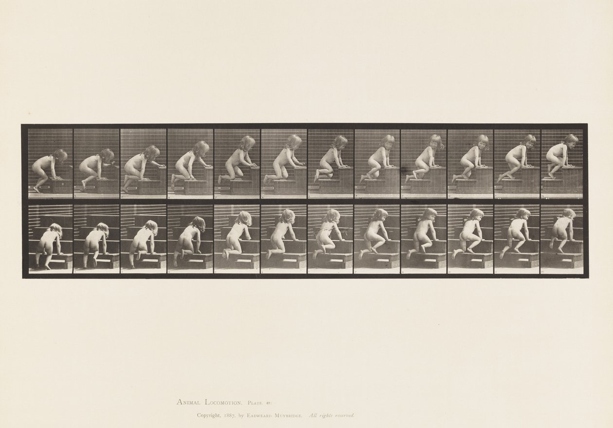 Talíř 472. Dítě, plazí se nahoru, 1885 (kolotypie na papíře) od Eadweard Muybridge