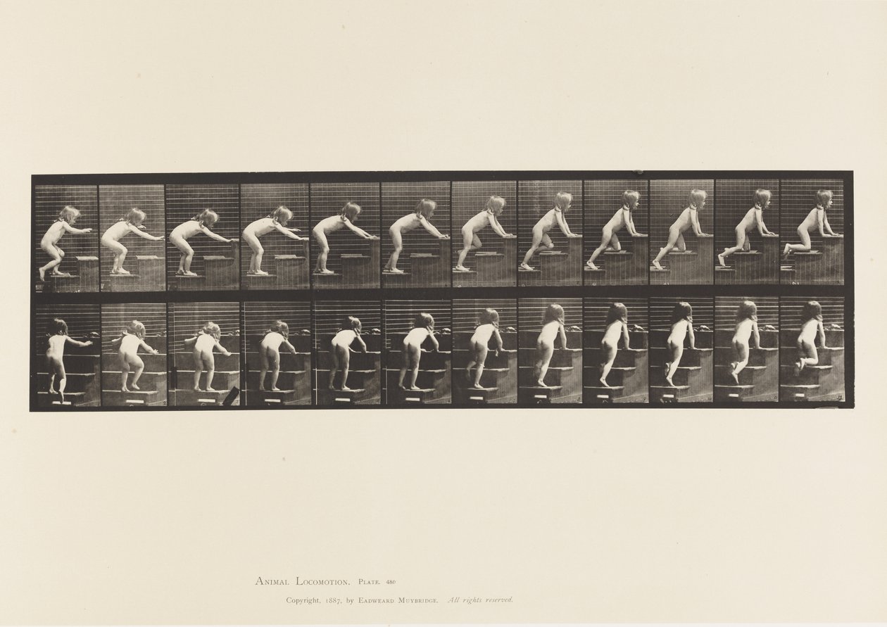 Talíř 480. Dítě, chůze a plazení po schodech od Eadweard Muybridge