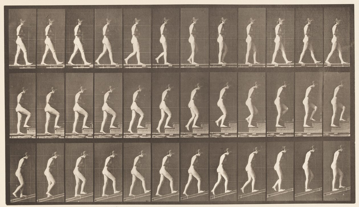 Talíř 482. A, Chůze; B, Vzestupné schody; C, Ascending Incline, 1872-1885 od Eadweard Muybridge