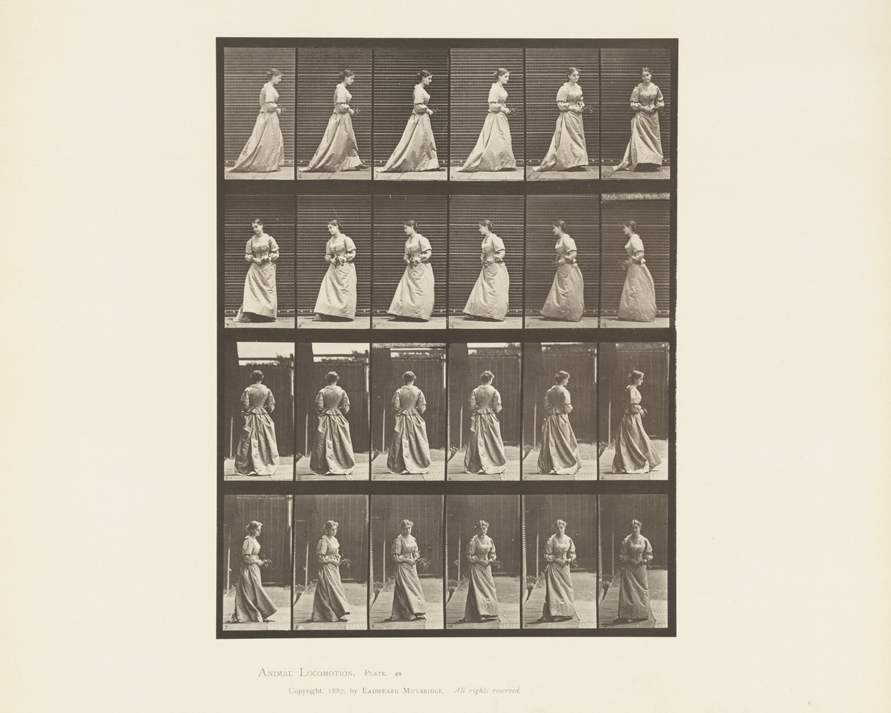 Talíř 48. Chůze a otáčení kytice v obou rukou, 1885 od Eadweard Muybridge