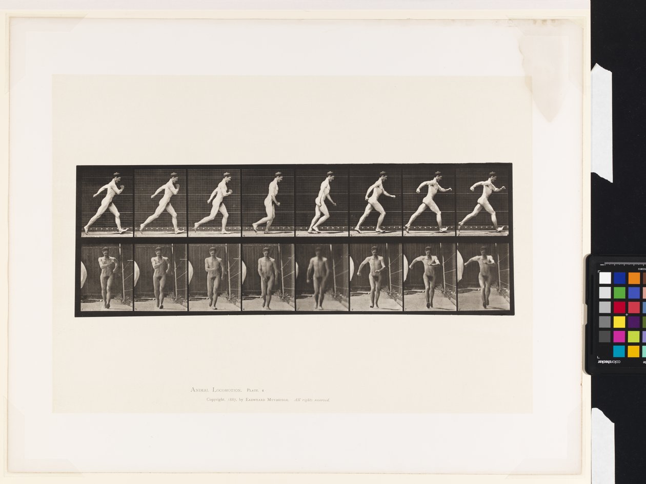 Talíř 4. Chůze od Eadweard Muybridge