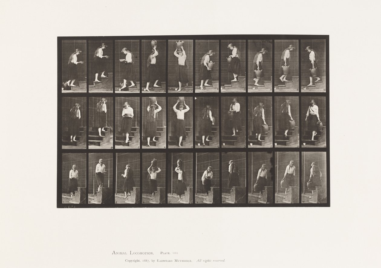 Talíř 504. Vzestupné a sestupné schody od Eadweard Muybridge