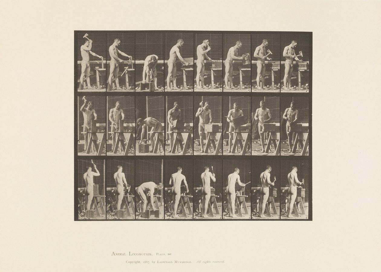 Talíř 507. Tesařství od Eadweard Muybridge