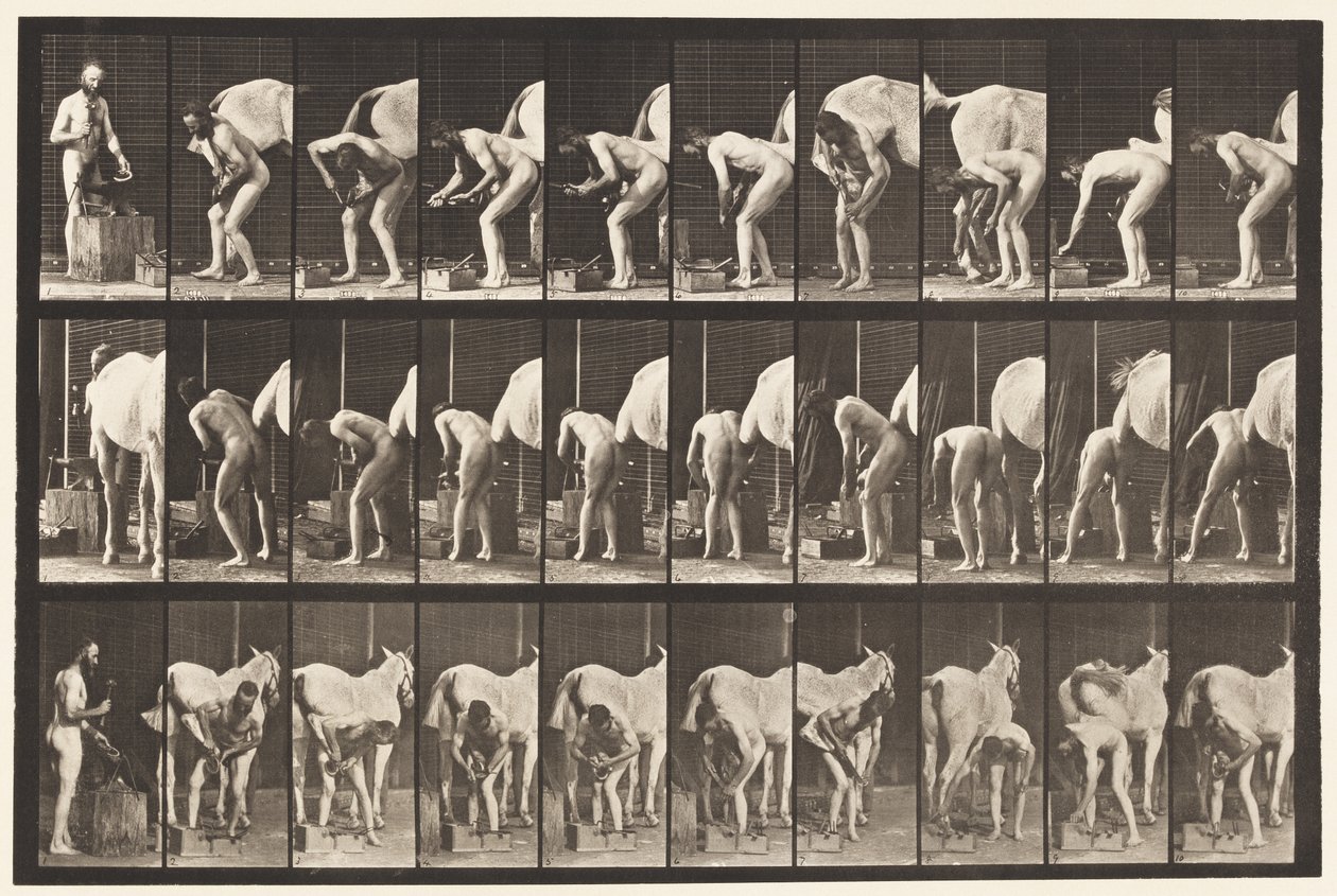 Talíř 508. Podkování koně od Eadweard Muybridge