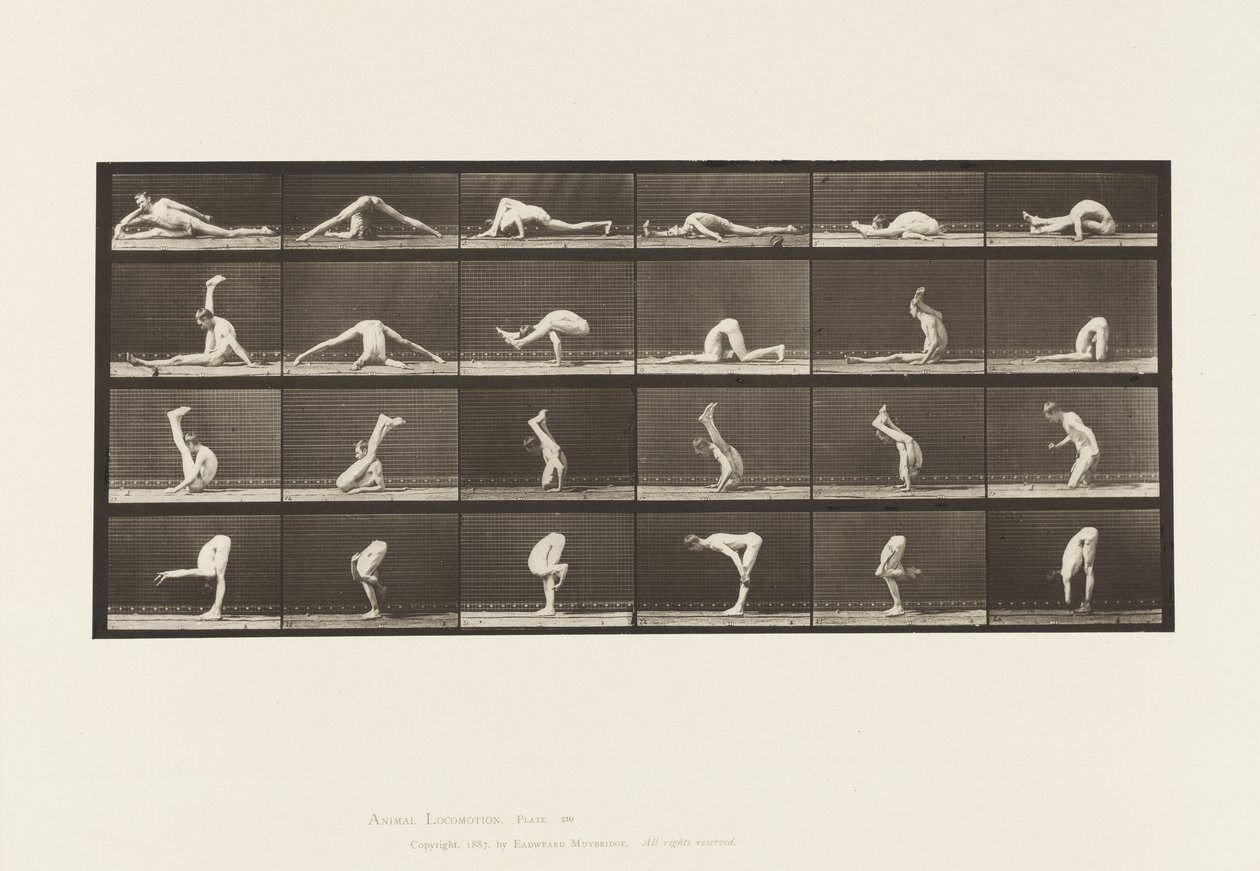 Talíř 510. Zkroucení na zemi, 1872-1885 od Eadweard Muybridge