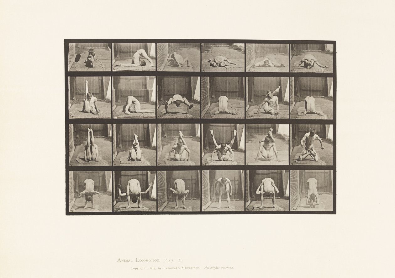 Talíř 511. Zkroucení na zemi od Eadweard Muybridge