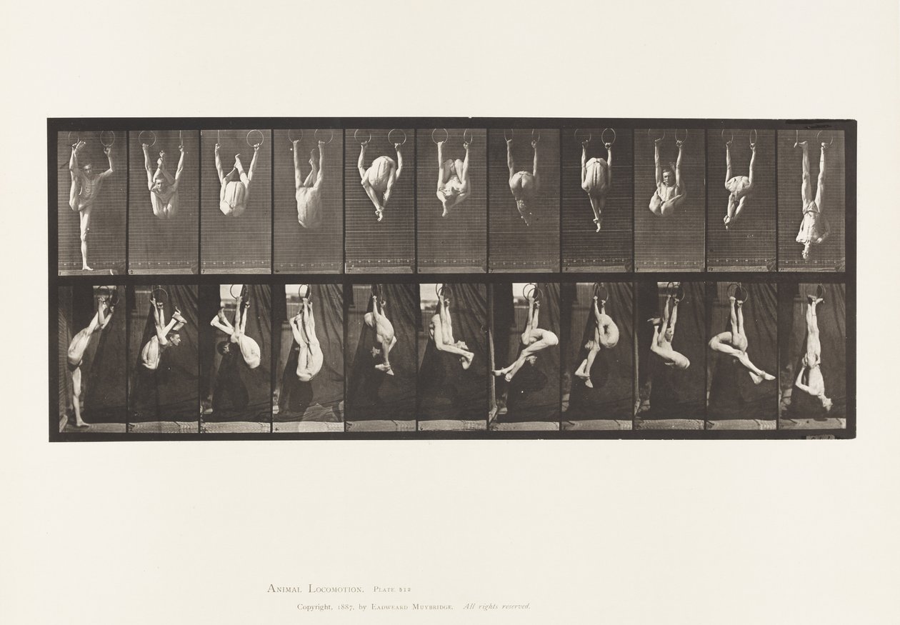 Talíř 512. Zkroucení na prstenech od Eadweard Muybridge
