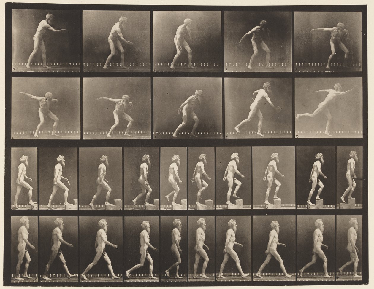 Talíř 519. A, Vrhací kotouč; B, vzestupné kroky; C, Walking., 1872-1885 od Eadweard Muybridge