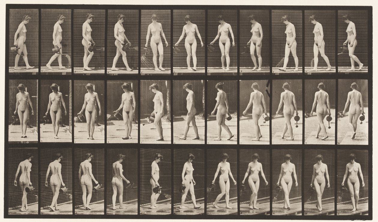 Talíř 51. Chůze a točení kolem, pomocí kropicí nádoby, 1872-1885 od Eadweard Muybridge