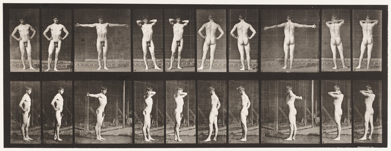 Talíř 529. Různé pózy od Eadweard Muybridge
