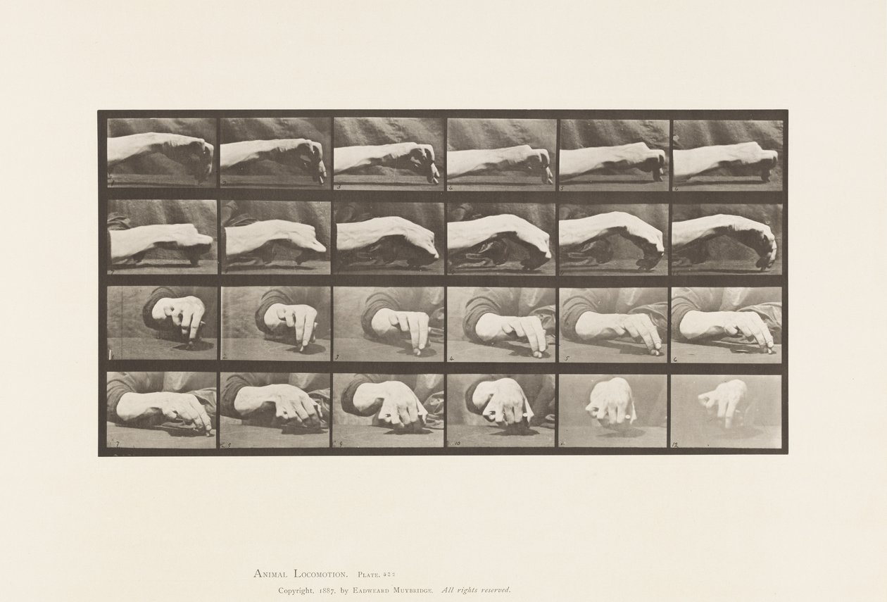 Talíř 532.Pohyb ruky; Kreslení kruhu, 1885 od Eadweard Muybridge