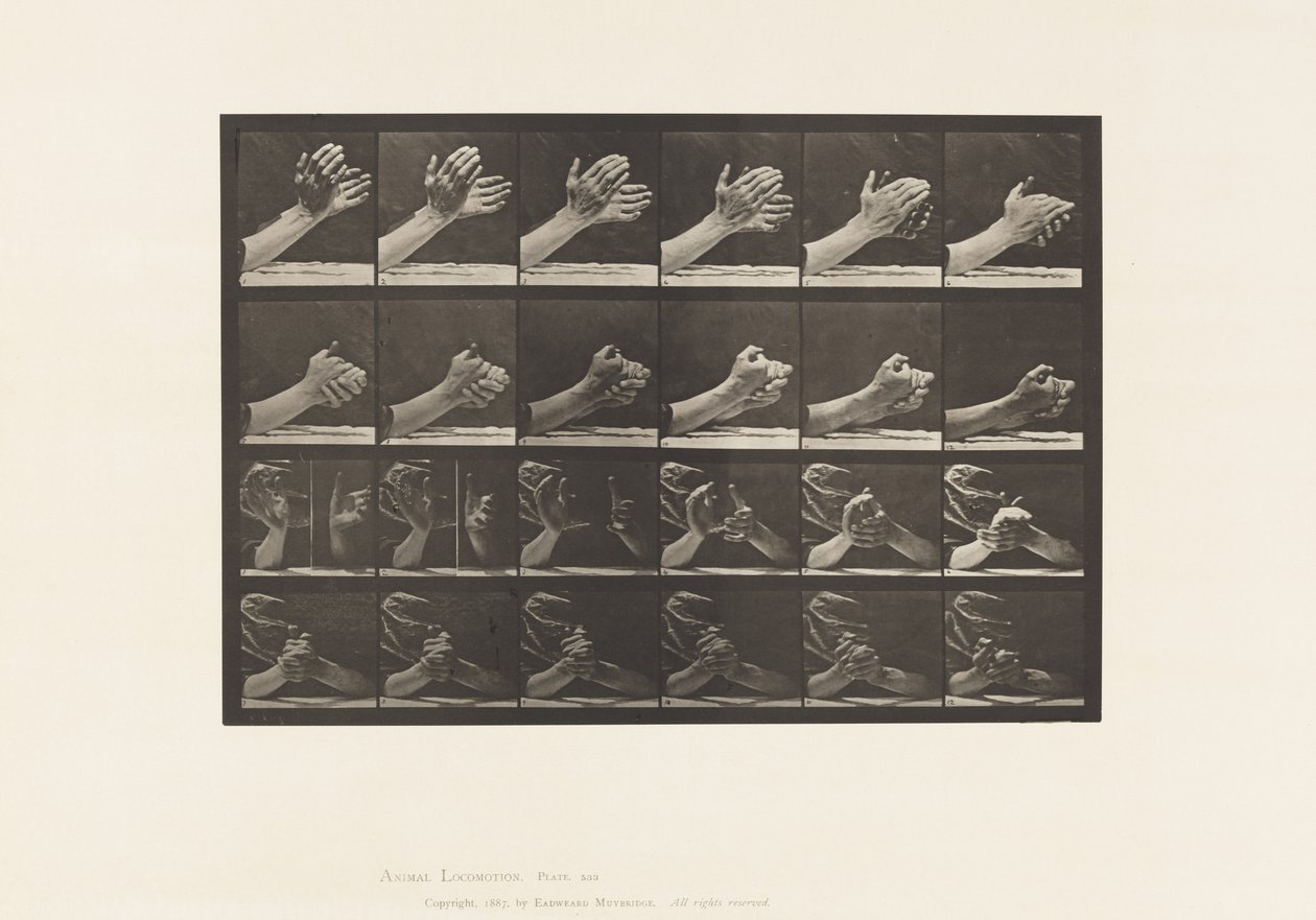 Talíř 533.Pohyb ruky; Spínající ruce, 1885 od Eadweard Muybridge