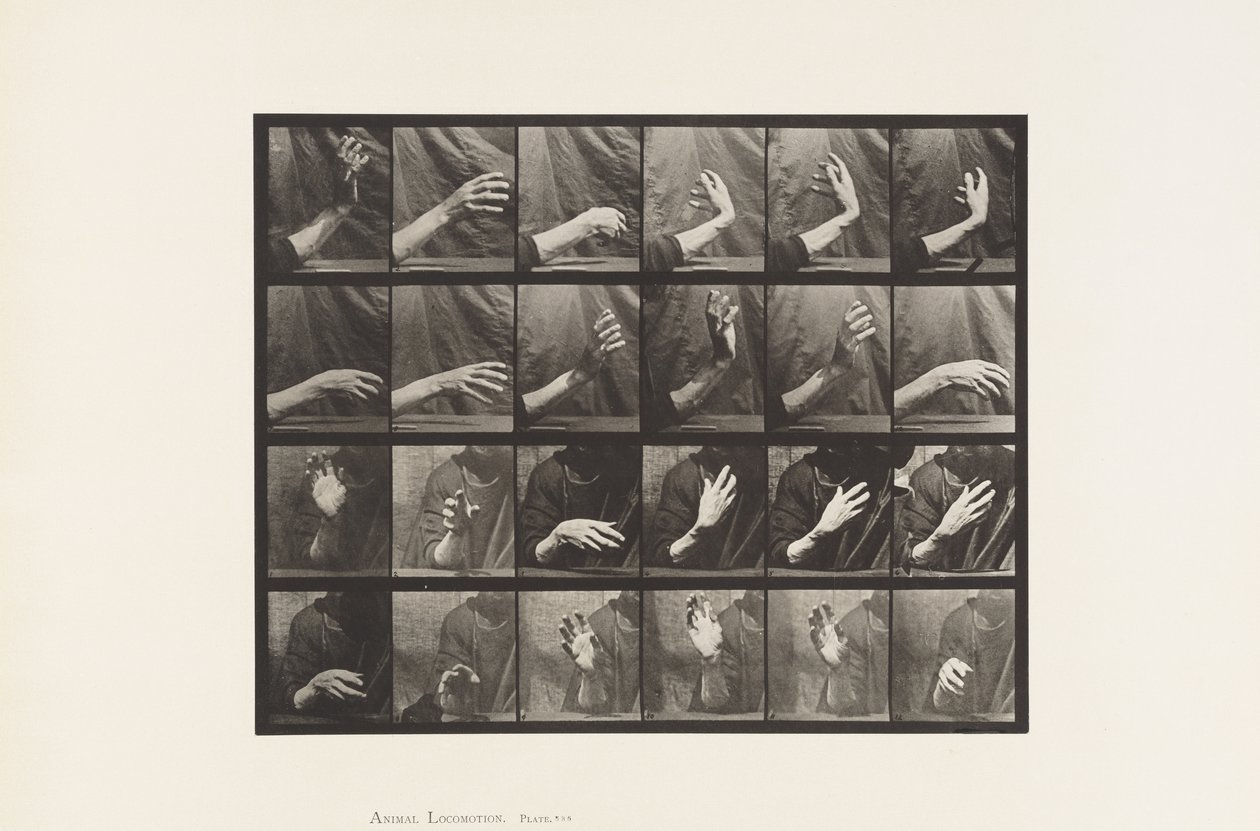Talíř 535. Pohyb ruky; Doba bití, 1885 od Eadweard Muybridge
