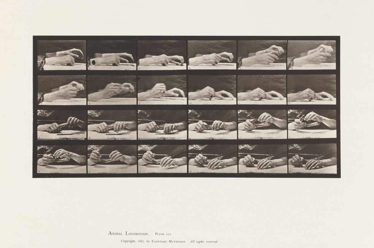 Talíř 536. Pohyb ruky; Ruce měnící tužka od Eadweard Muybridge