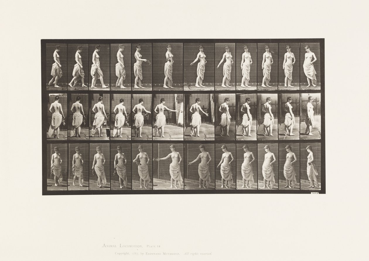 Talíř 53. Chůze, rozhazování květin a otáčení od Eadweard Muybridge