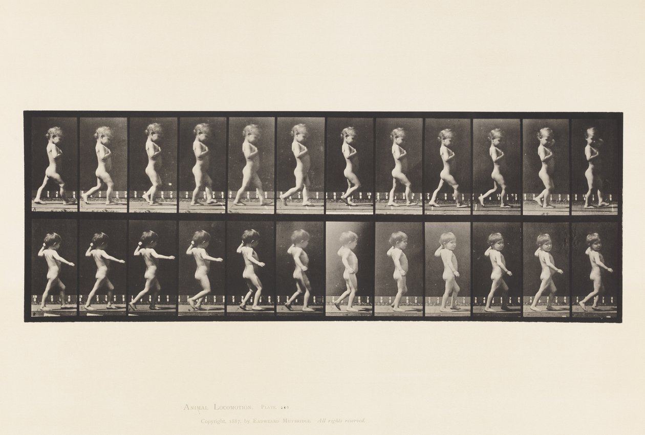 Talíř 540.A, Nohy smyčce; Chlapec; B, Spinální kaz; Dívka na procházce, 1885 od Eadweard Muybridge