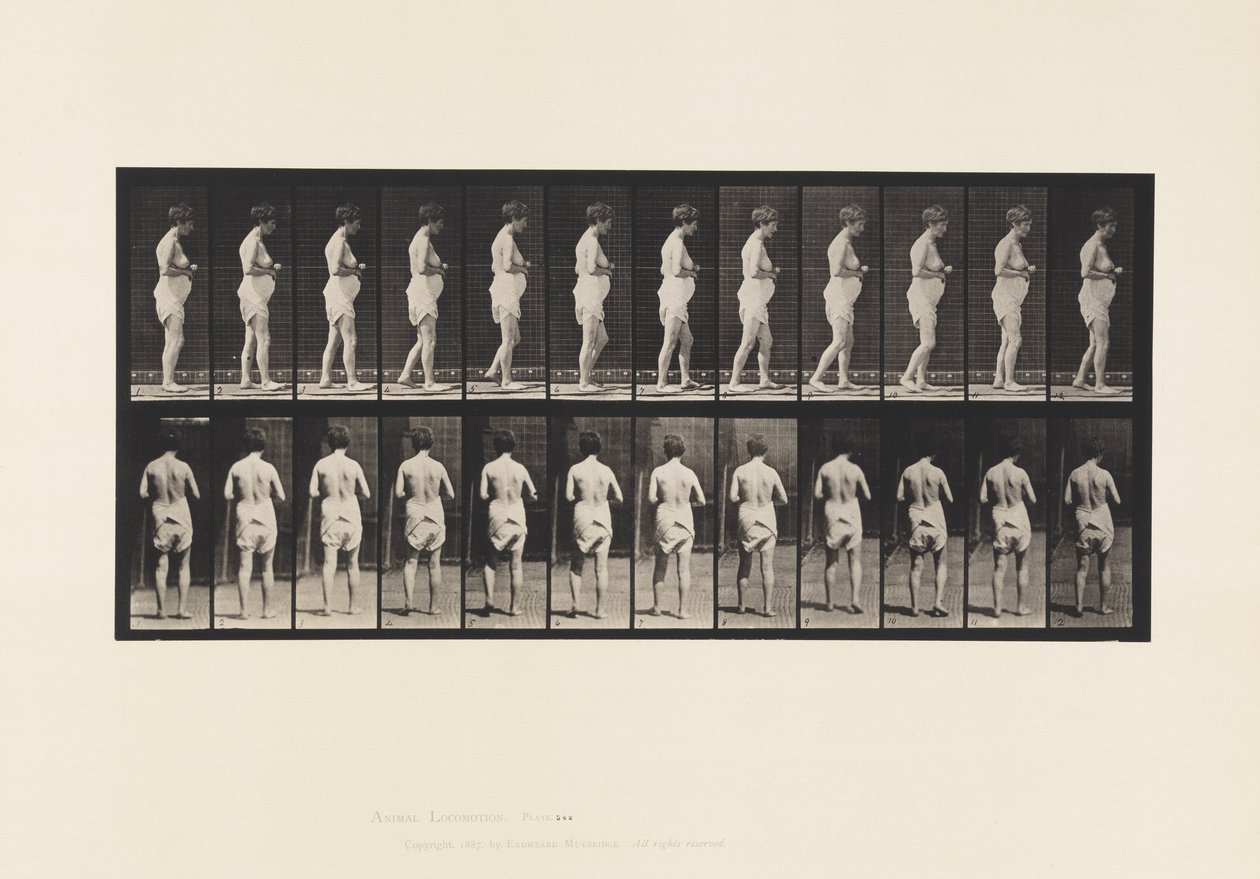 Talíř 542. Roztroušená mozkomíšní skleróza - Chůze od Eadweard Muybridge