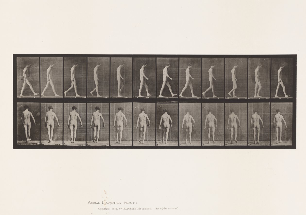 Deska 546.Lokomotorická ataxie; Chůze, 1885 od Eadweard Muybridge