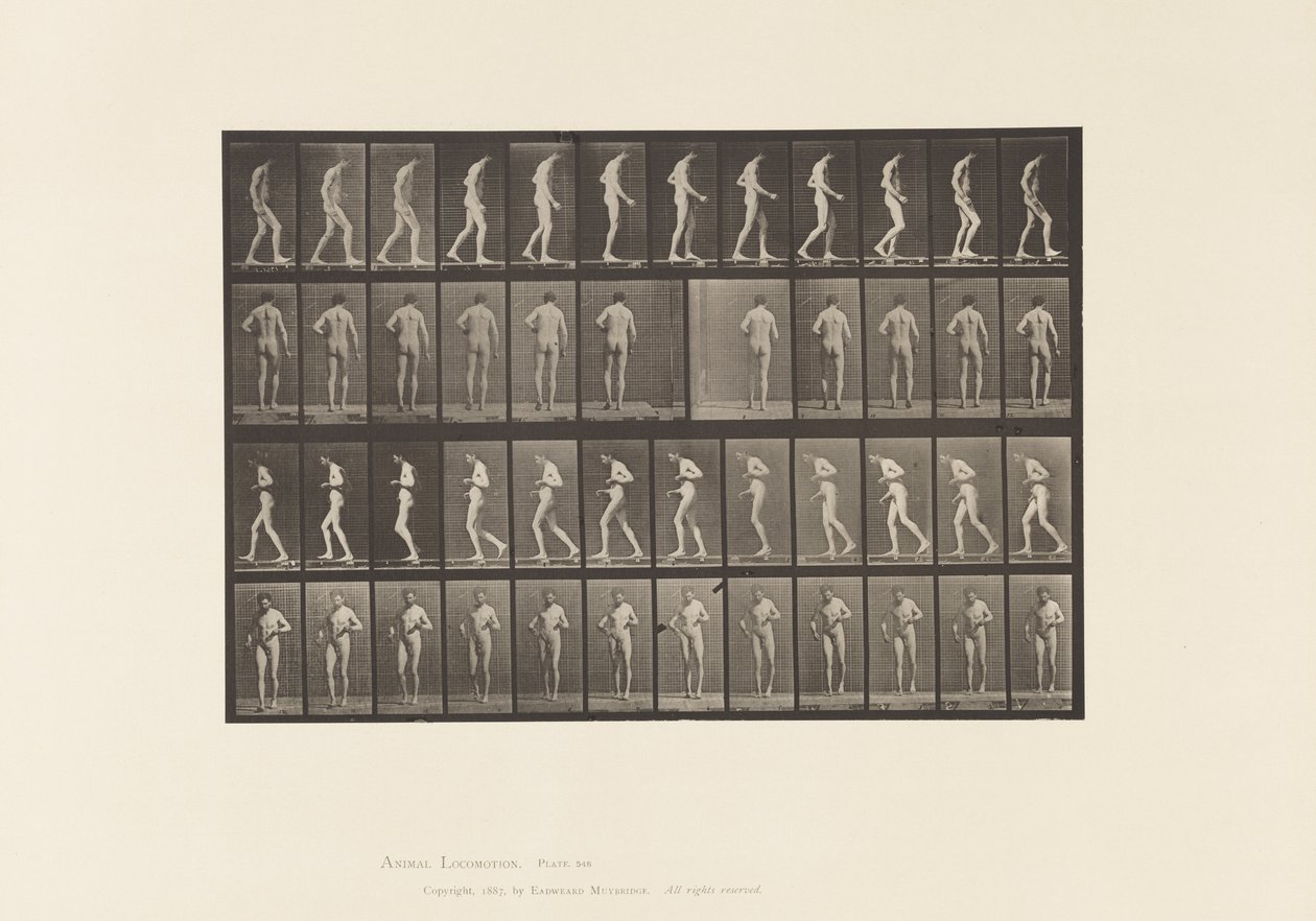Talíř 548.Laterální skleróza; A,B, Chůze, 1885 od Eadweard Muybridge