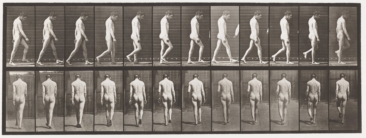 Talíř 549.Epilepsie; Chůze, 1885 od Eadweard Muybridge