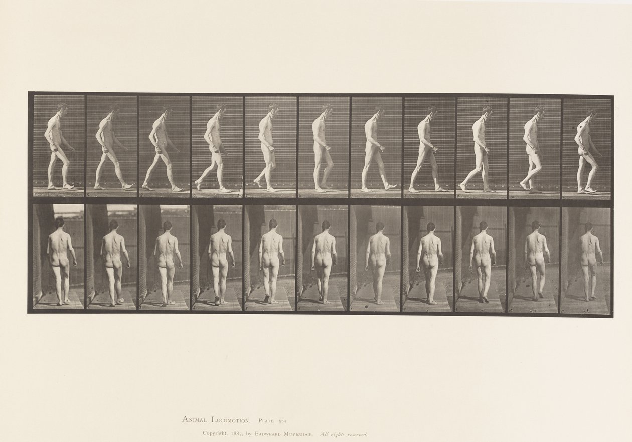 Deska 554.Lokomotorická ataxie; Chůze, 1885 od Eadweard Muybridge