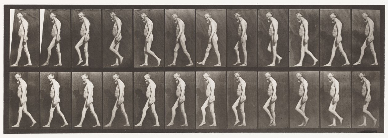Plate 555. Svalová atrofie nohou; Dospělý, A, B, Chůze, 1885 od Eadweard Muybridge