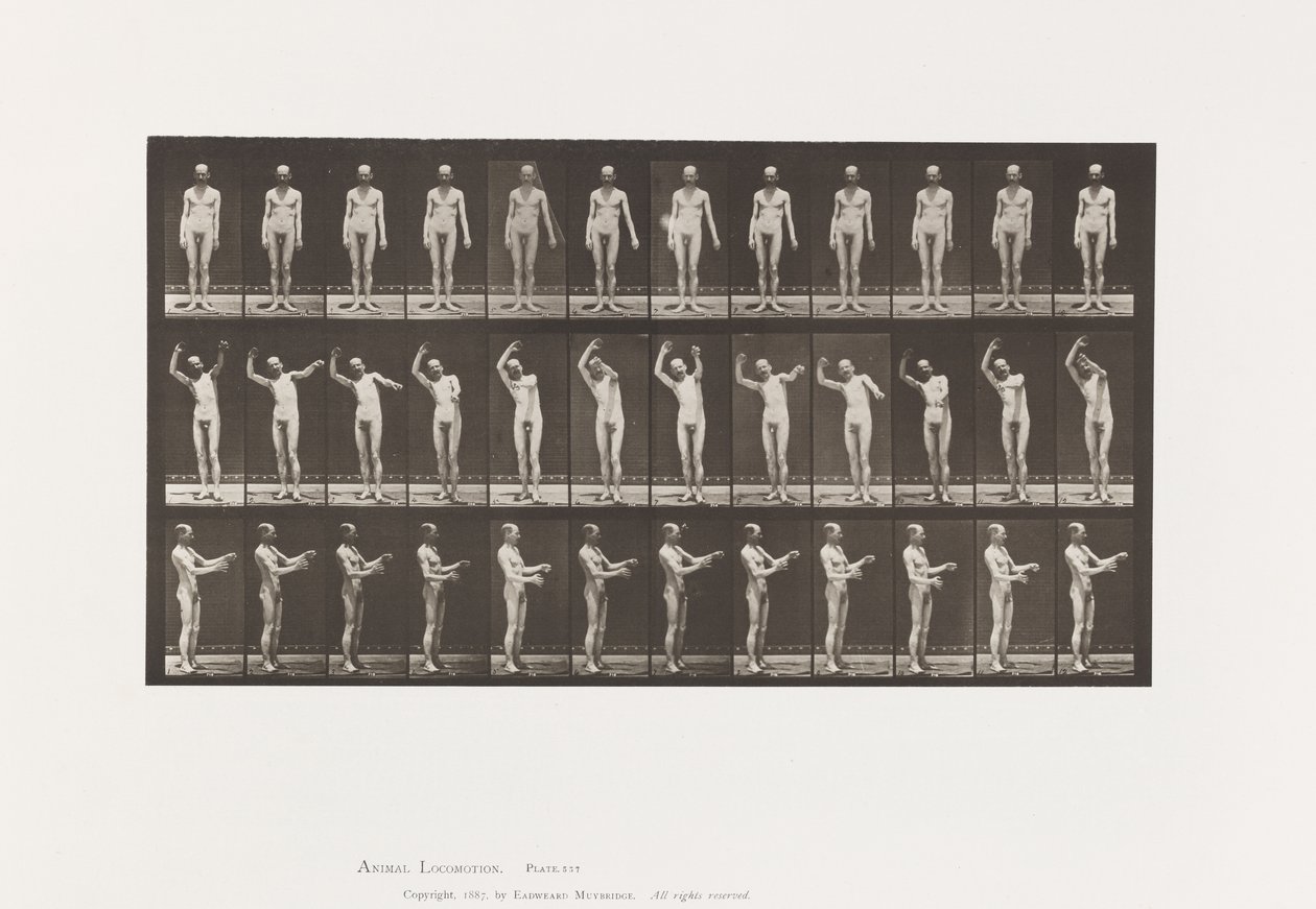 Talíř 557.Místní chorea; A, B, C, ve stoje, 1885 od Eadweard Muybridge