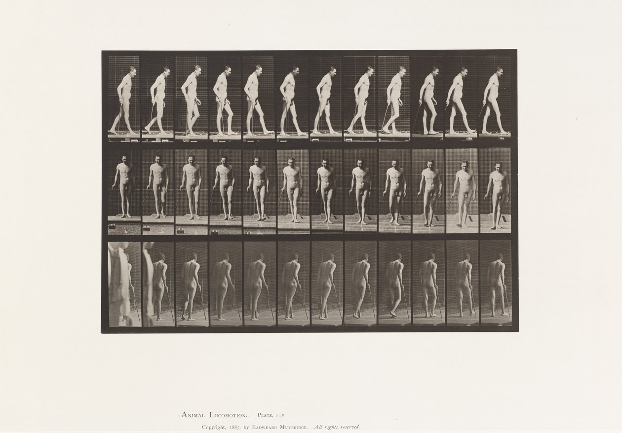 Deska 559. Roztroušená skleróza; Chůze s Cane od Eadweard Muybridge