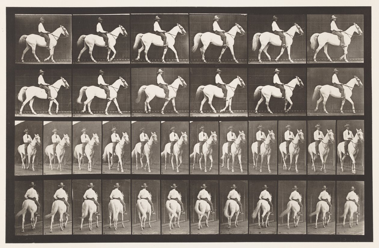Talíř 579.Chůze; Sedlo; Bílý kůň Elberon, 1885 od Eadweard Muybridge