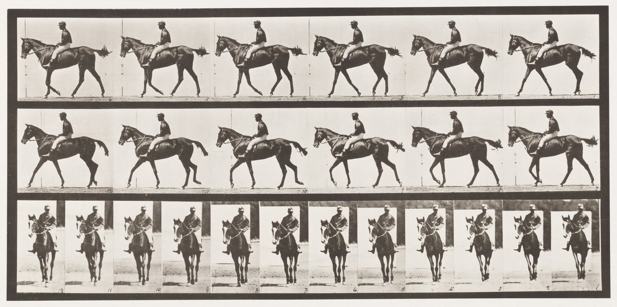 Talíř 580.Chůze; Sedlo; Plnokrevná Bay Mare Annie G., 1885 od Eadweard Muybridge
