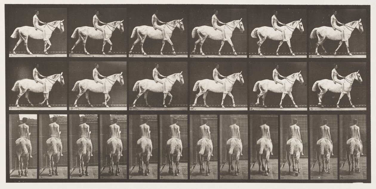 Talíř 581.Chůze;Bez hřbetu;Jezdec,43, Akt; Světle šedý kůň Smith, 1885 od Eadweard Muybridge