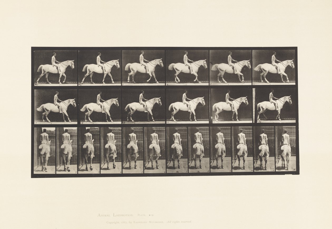 Talíř 582. Chůze;Sedlo; Jezdec, 43 let, nahý; Světle šedý kůň Smith od Eadweard Muybridge