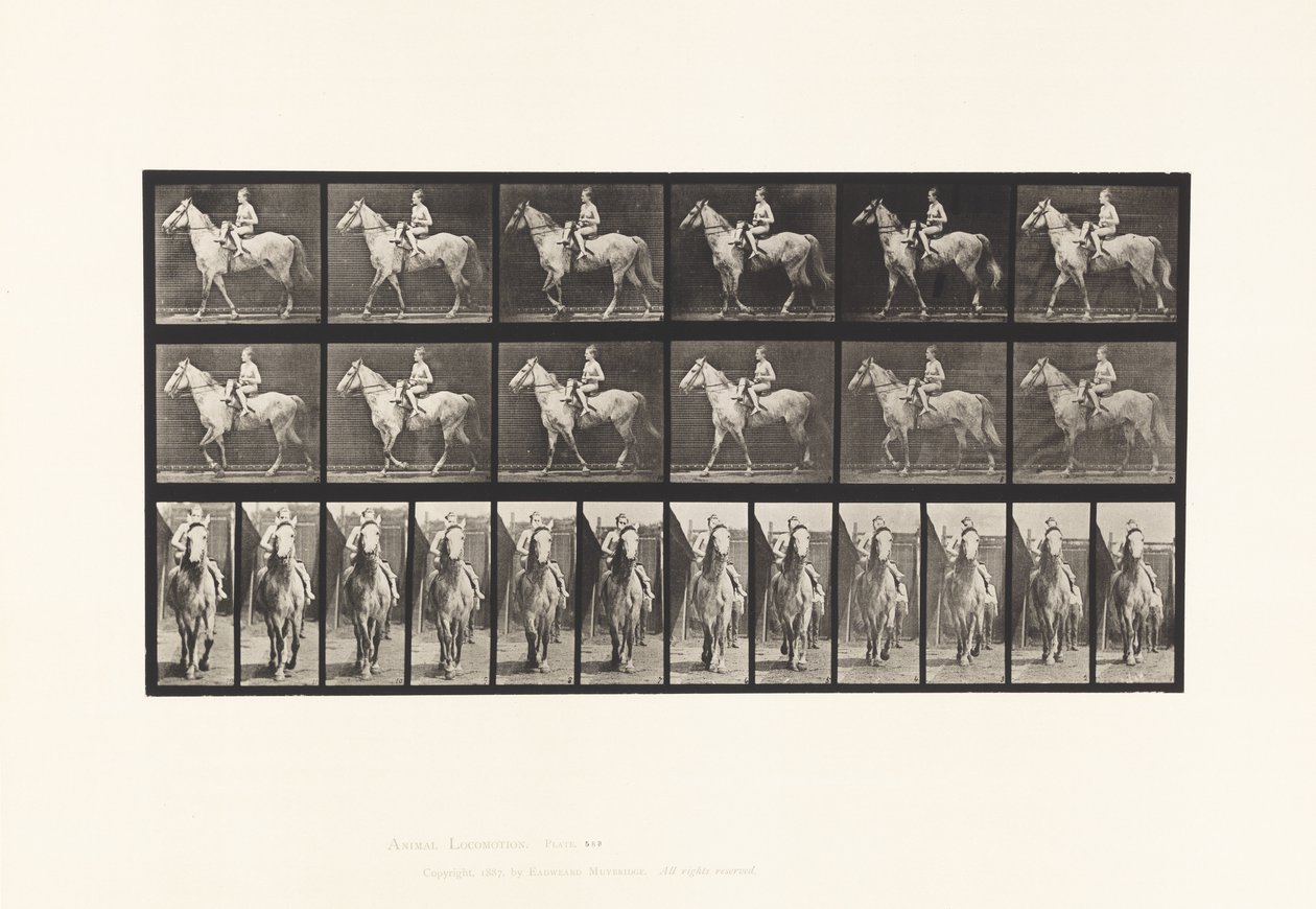 Talíř 583.Chůze; Sedlo; Jezdkyně; Akt; Gray Horse Tan, 1885 od Eadweard Muybridge