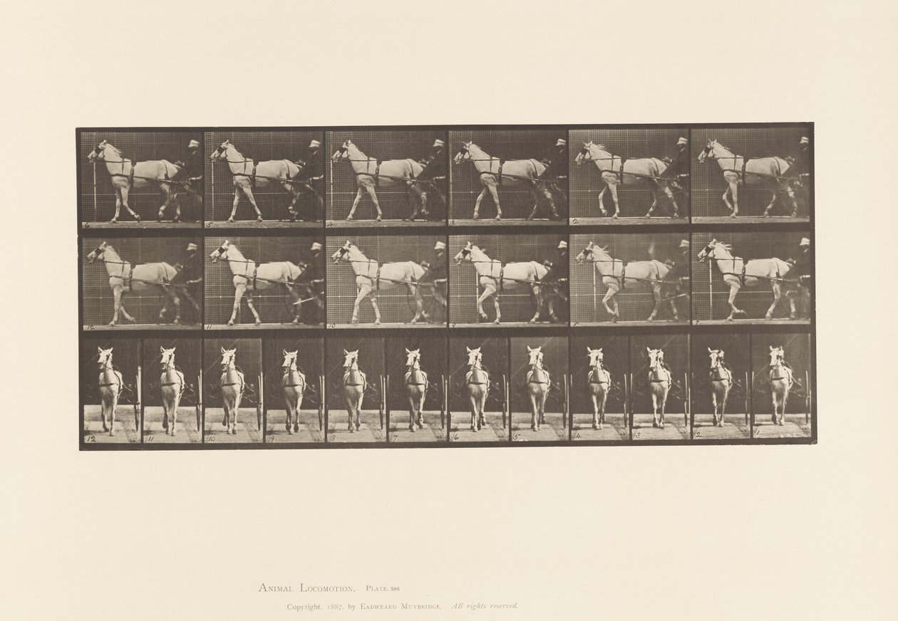 Talíř 586.Chůze; Sulky; Světle šedá Mare, Katydid, 1885 od Eadweard Muybridge