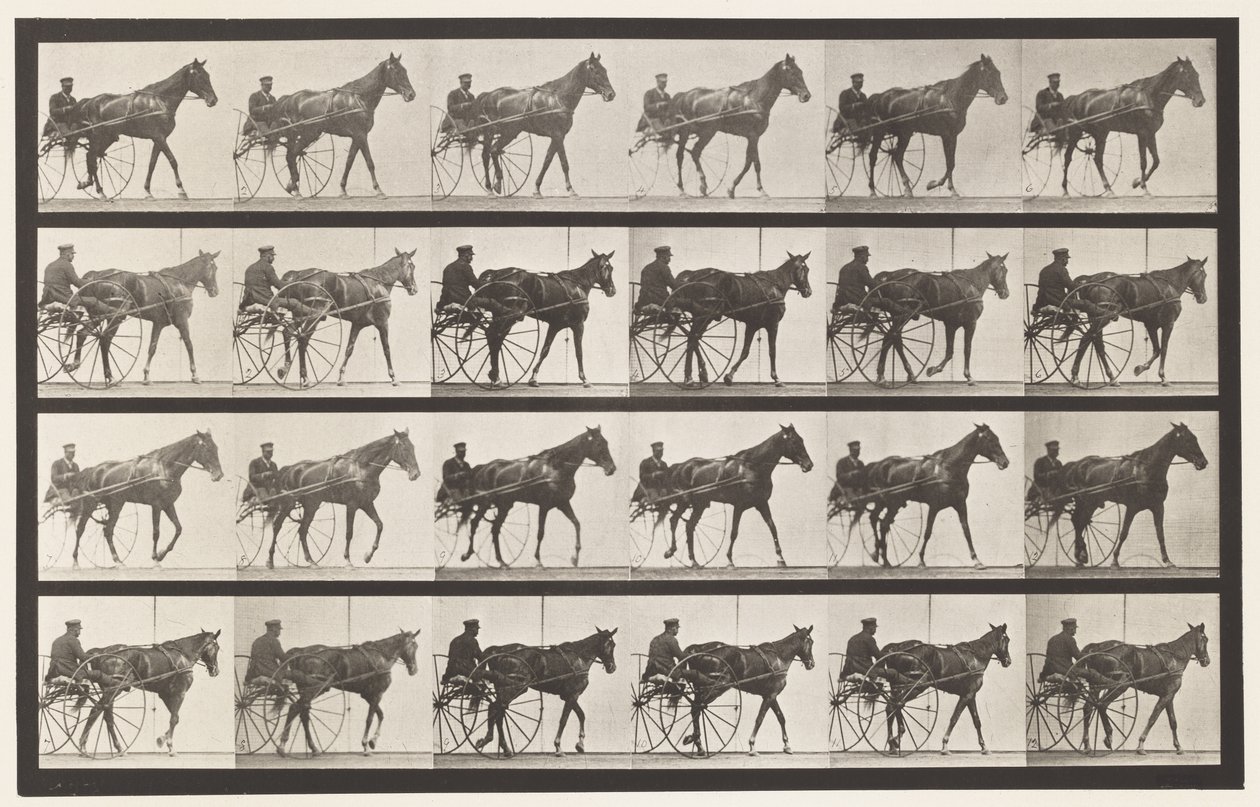 Talíř 587.Chůze; Sulky; Sorrel Mare Nellie Rose, 1885 od Eadweard Muybridge