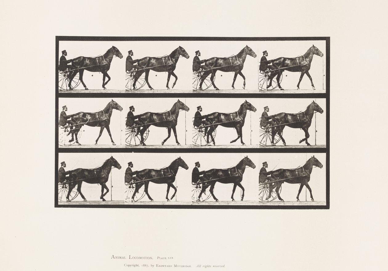 Talíř 588.Chůze; Sulky; Bay Horse Reuben, 1885 od Eadweard Muybridge