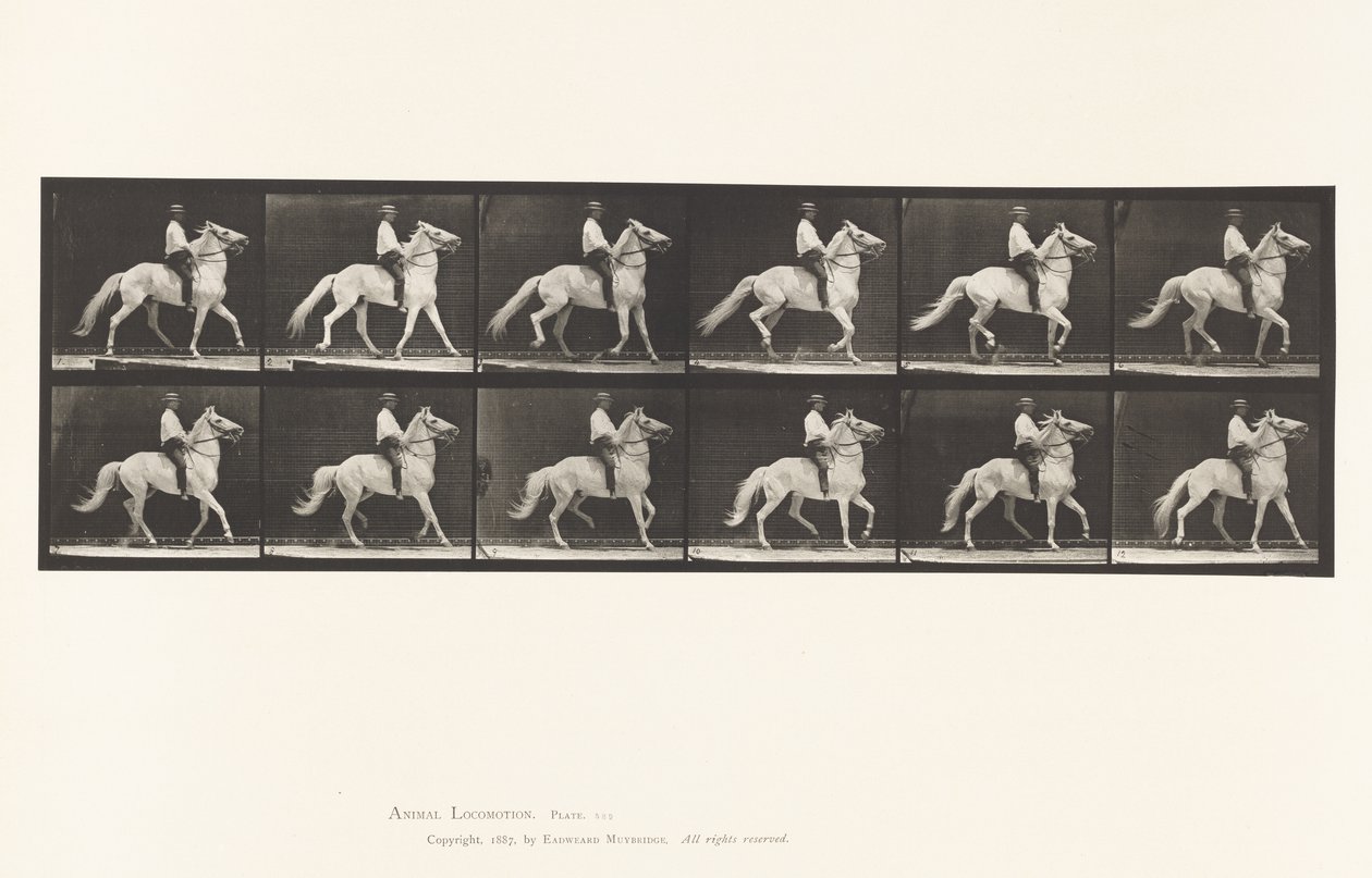 Talíř 589.Ambling od Eadweard Muybridge