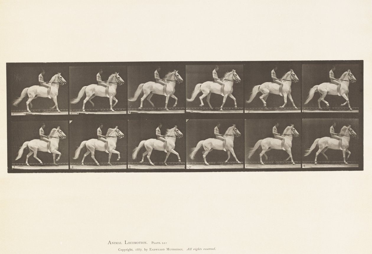Talíř 590.Ambling od Eadweard Muybridge