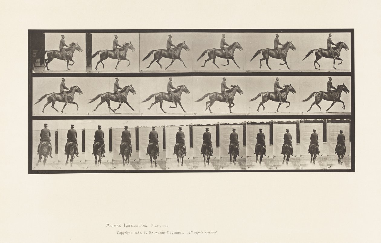 Talíř 592. Kolébání (chodení): Sedlo; Hnědý kůň Pronto od Eadweard Muybridge
