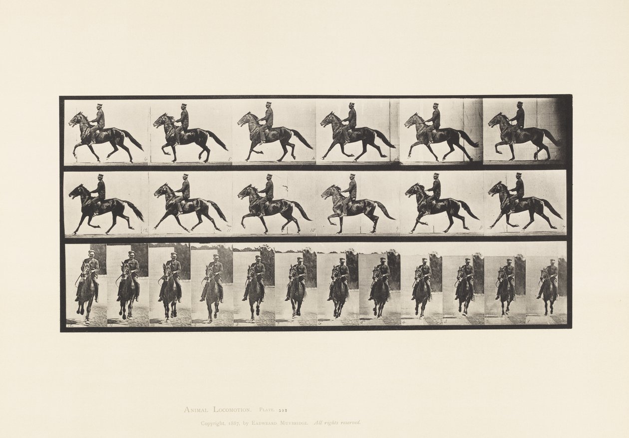 Talíř 593. Kolébání (chodení): Sedlo; Hnědý kůň Pronto od Eadweard Muybridge