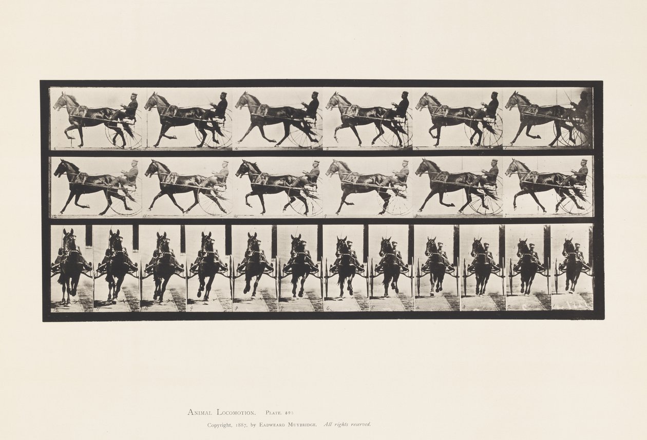 Talíř 595. Kolébání (Chození): Sulky; Hnědý kůň Pronto od Eadweard Muybridge