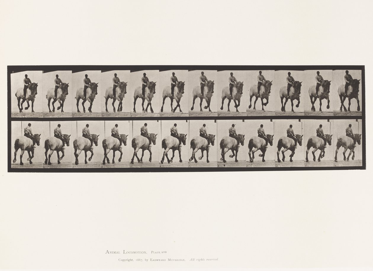 Talíř 599. Klusání; Bez sedla; Tmavošedý Dusel od Eadweard Muybridge
