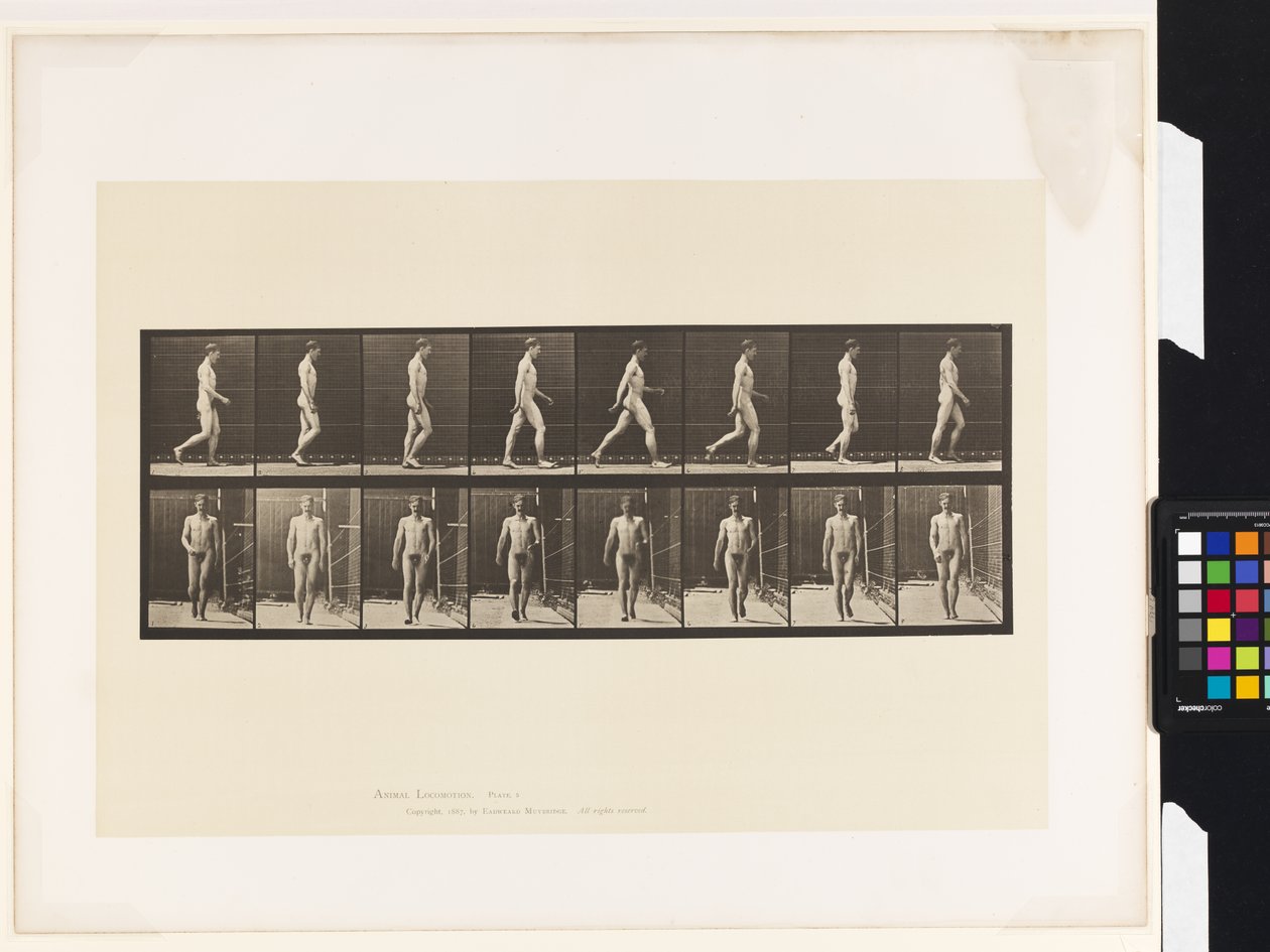 Talíř 5.Chůze od Eadweard Muybridge