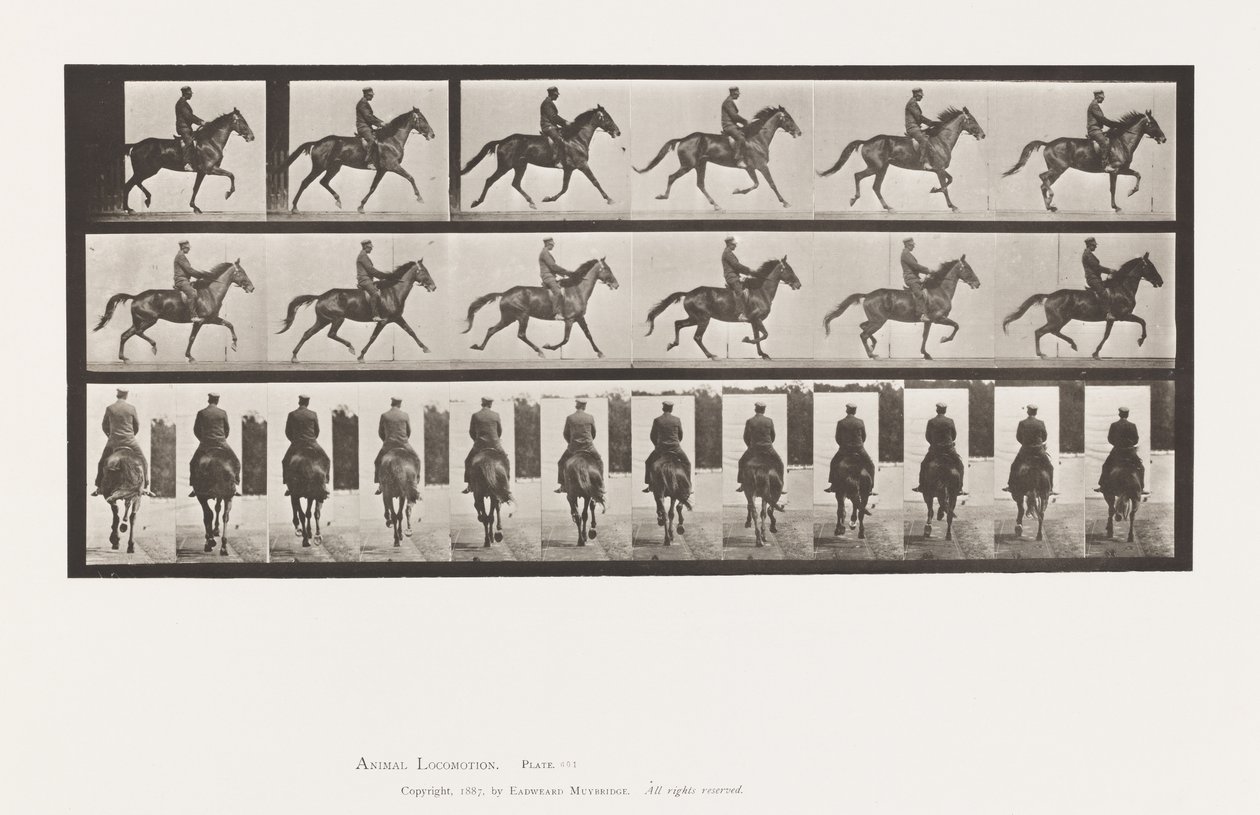 Talíř 601. Klusání; Sedlo; Hnědá klisna krása od Eadweard Muybridge