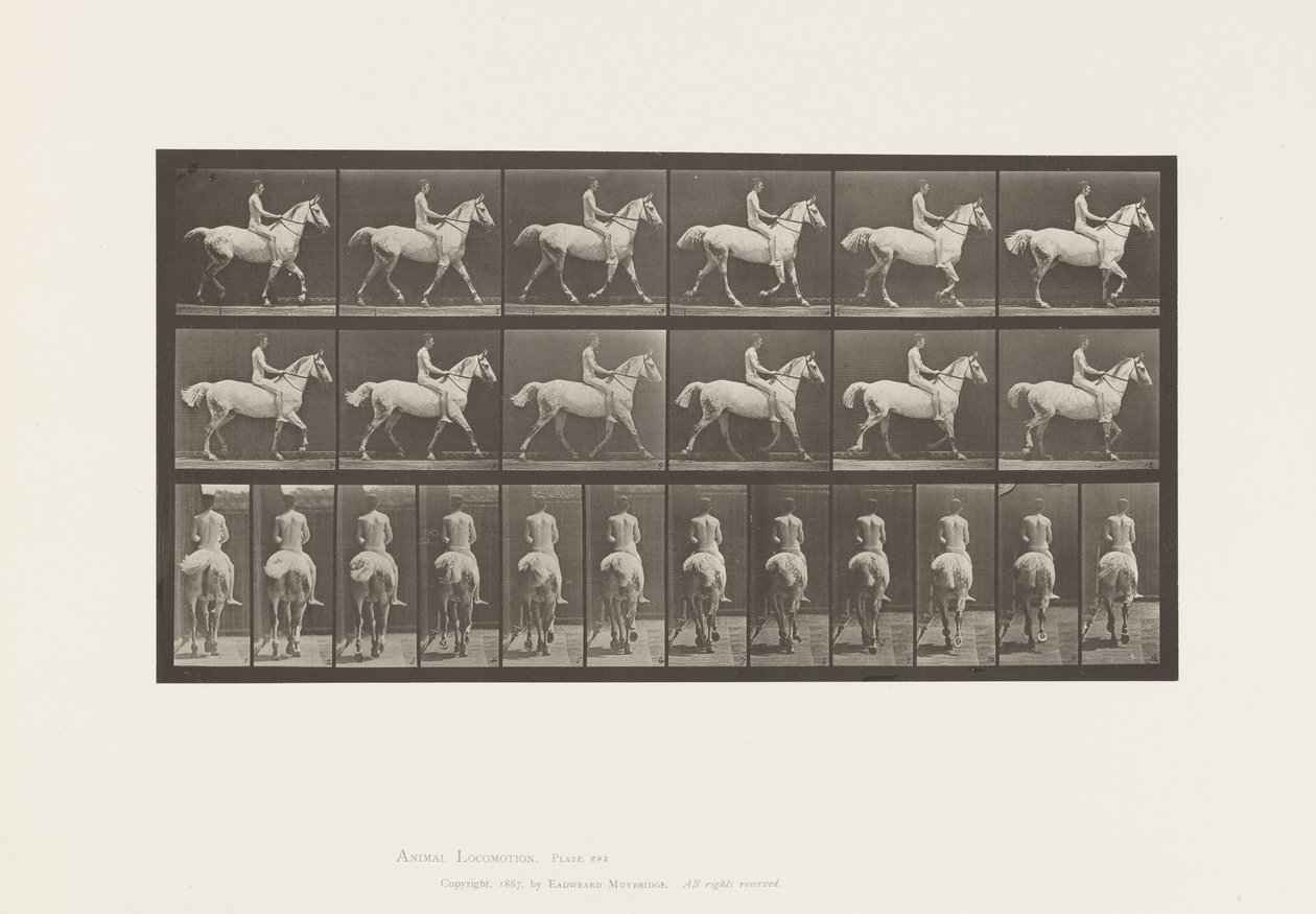 Talíř 602.Klus;Bezhřbet; Jezdec, 43, nahý; Světle šedý kůň Smith, 1885 od Eadweard Muybridge