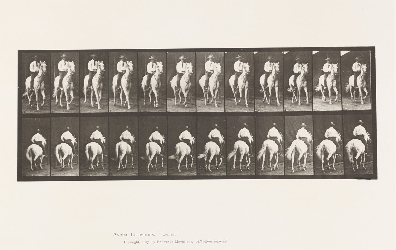 Talíř 604. Klusání; Sedlo; Bílý kůň, Elberon od Eadweard Muybridge