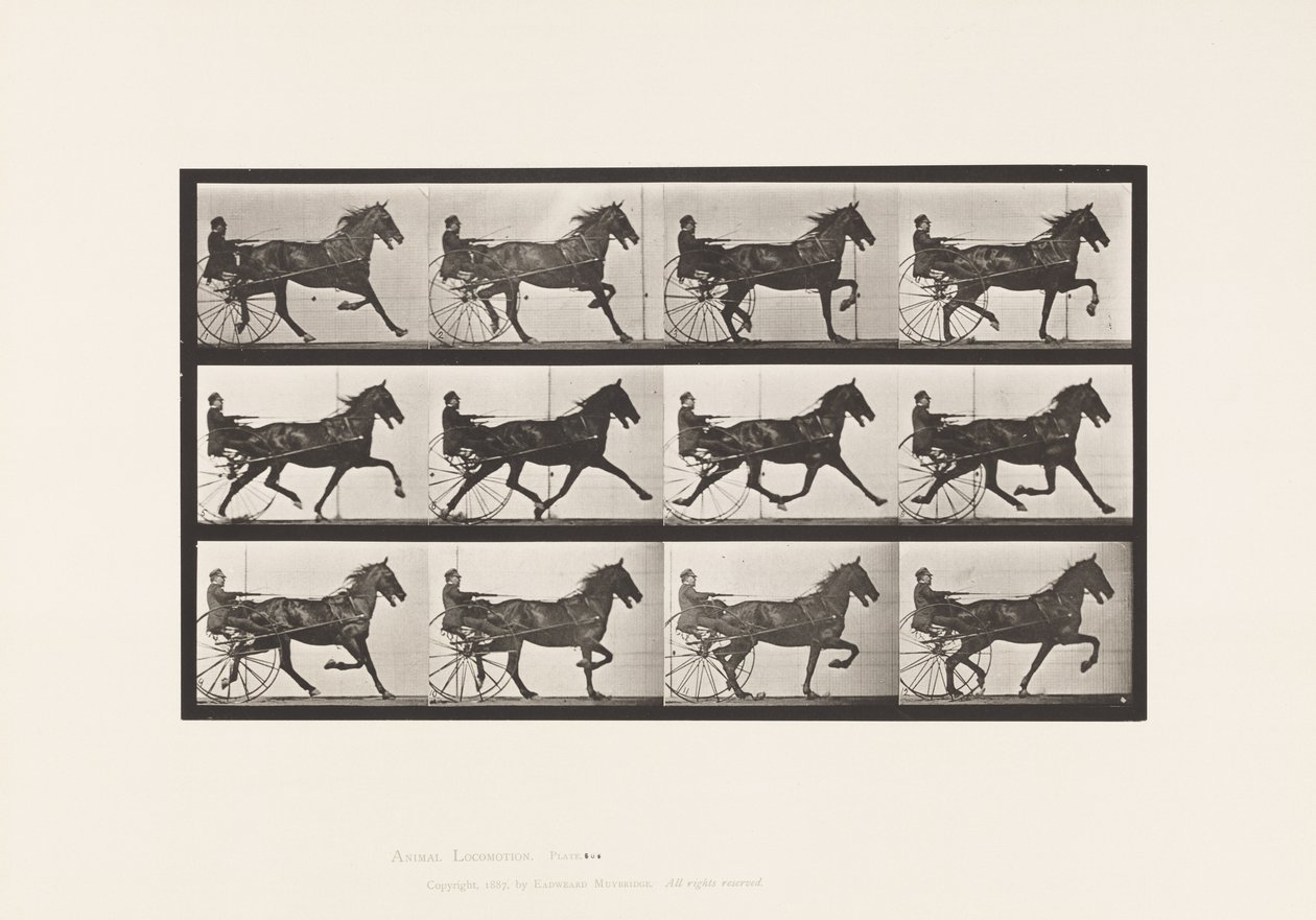 Talíř 606. Klusání; Sulky; Bay Horse, Ruben od Eadweard Muybridge
