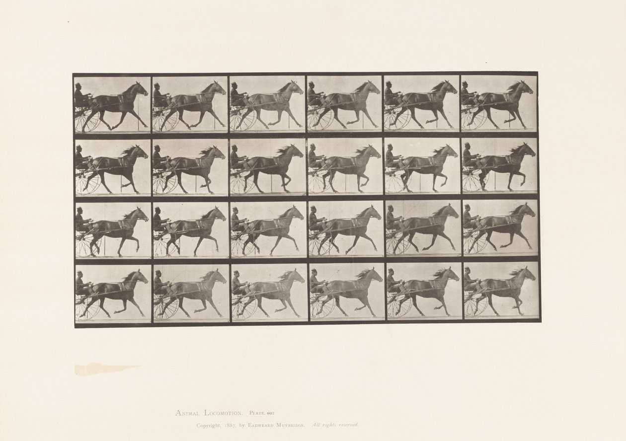 Talíř 607. Klusání; Sulky; Bay Mare, Lizzie M. od Eadweard Muybridge
