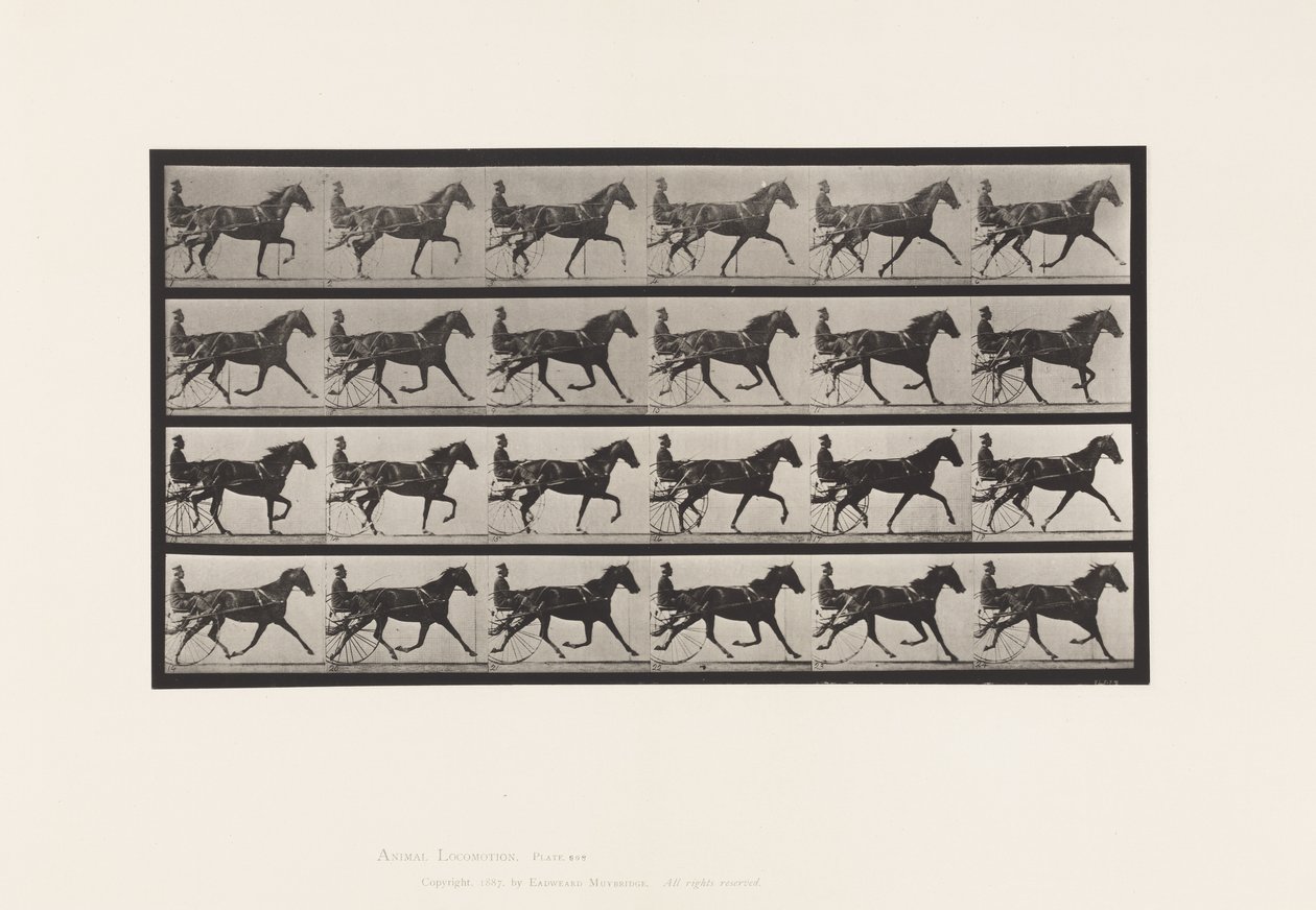 Talíř 608. Klusání; Sulky; Sorrel Mare, Flode Holden od Eadweard Muybridge