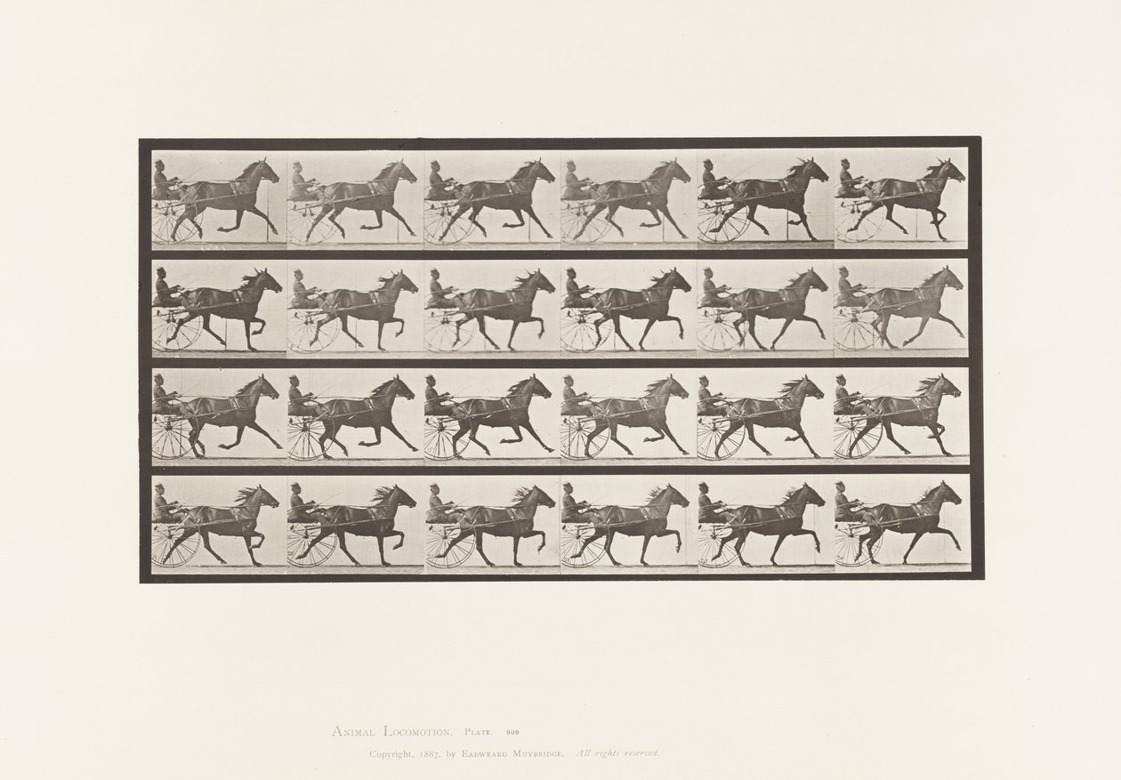 Talíř 609. Klusání; Sulky; Bay Mare, Lizzie M. od Eadweard Muybridge